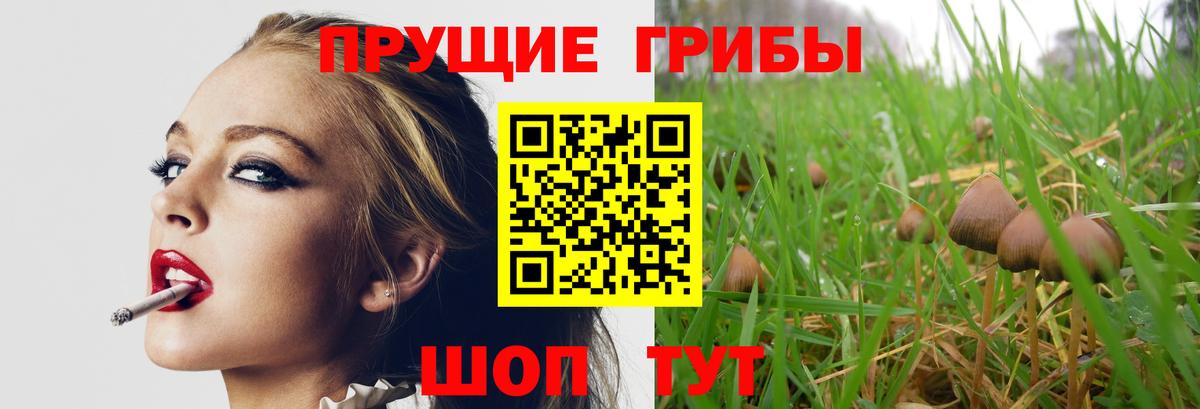 Галлюциногенные грибы GOLDEN TEACHER Магнитогорск